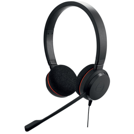 Evolve 20 Auriculares Alámbrico Diadema Oficina/Centro de llamadas USB tipo A Negro